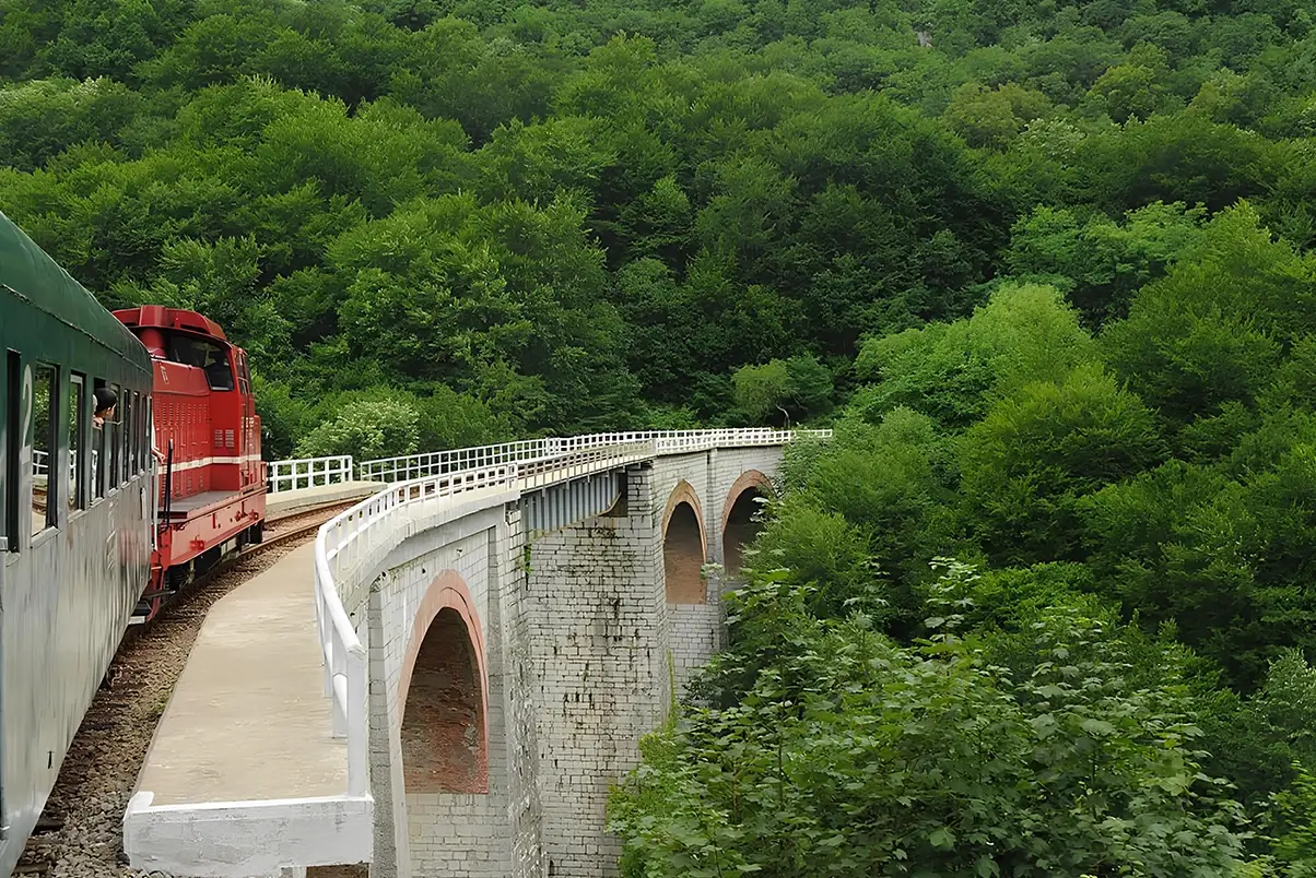 Mobile Sand Filling Vehicle Export to Romania – KAAF